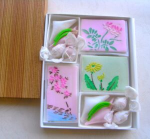 加賀志きし<br>6枚入り